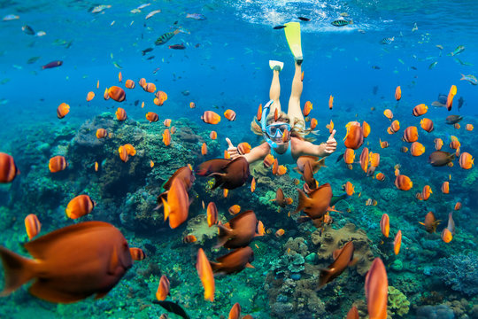 Best snorkeling and diving spots in Red Sea with vibrant coral and tropical fish